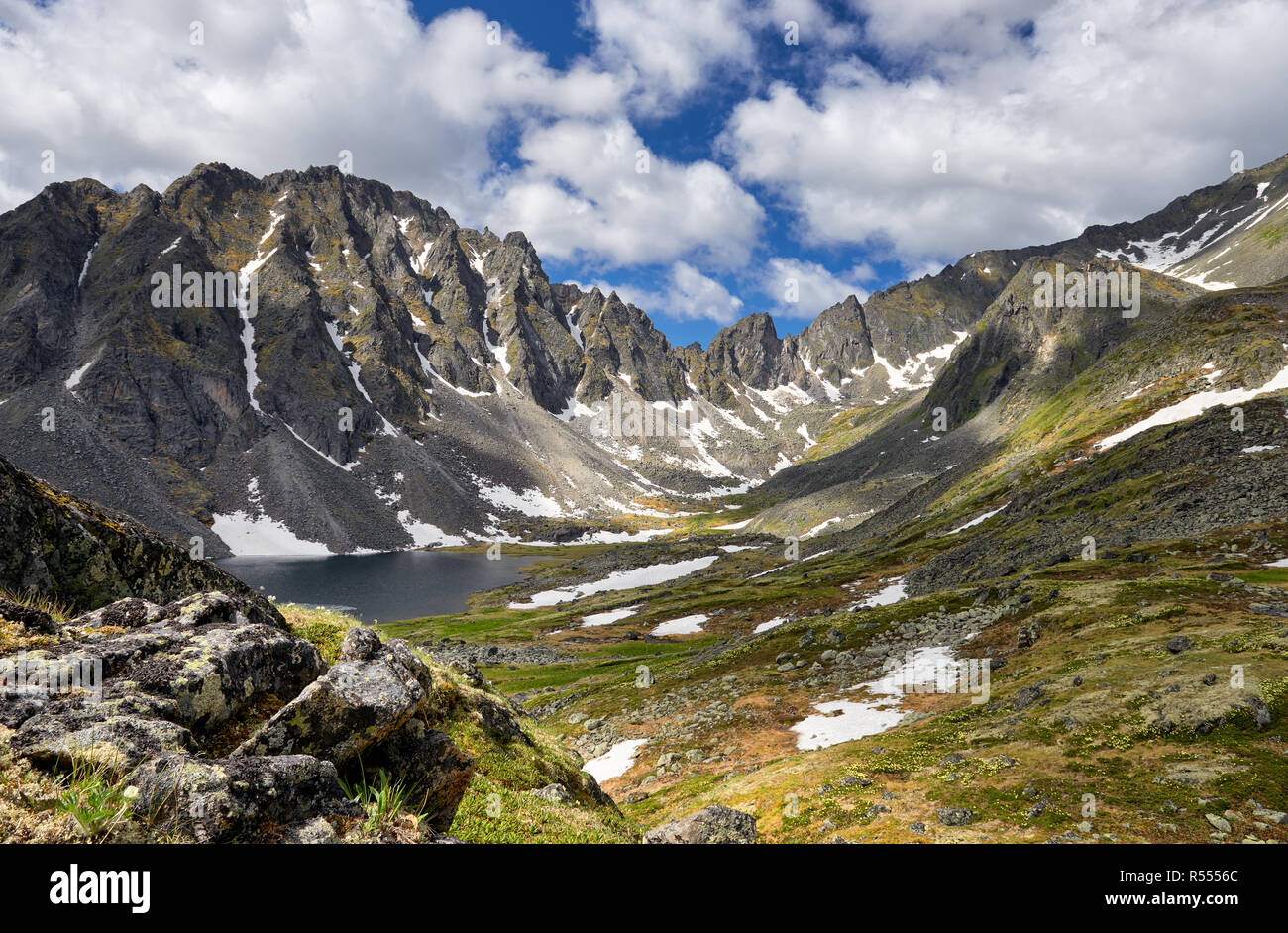 Siberiano tundra di montagna in estate nel pomeriggio. Eastern Sayan. Asia centrale Foto Stock