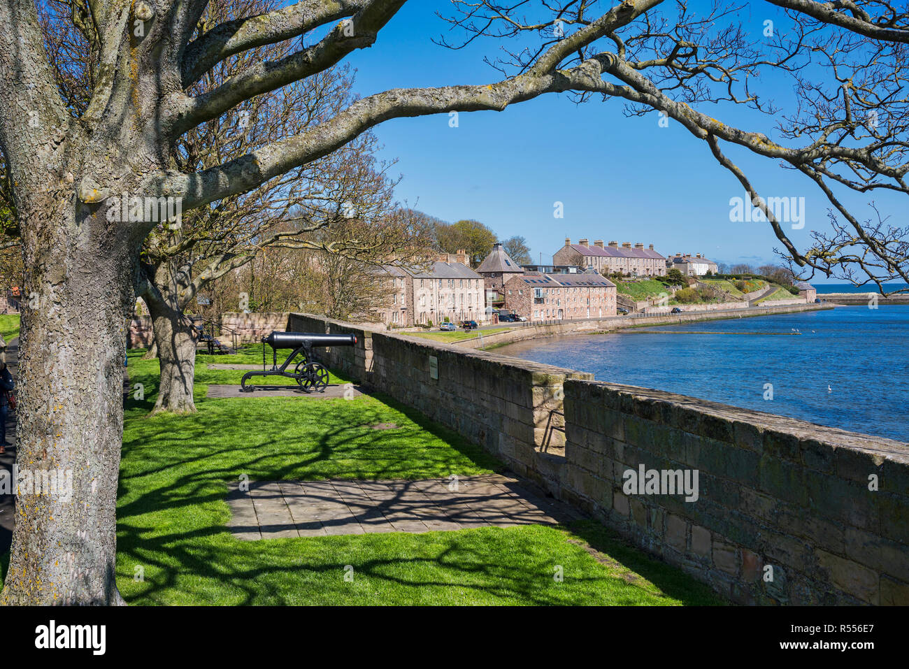 Berwick upon Tweed mura e bastioni, a piedi, canonici, pistole, fiume Tweed, North Northumberland, England, Regno Unito Foto Stock