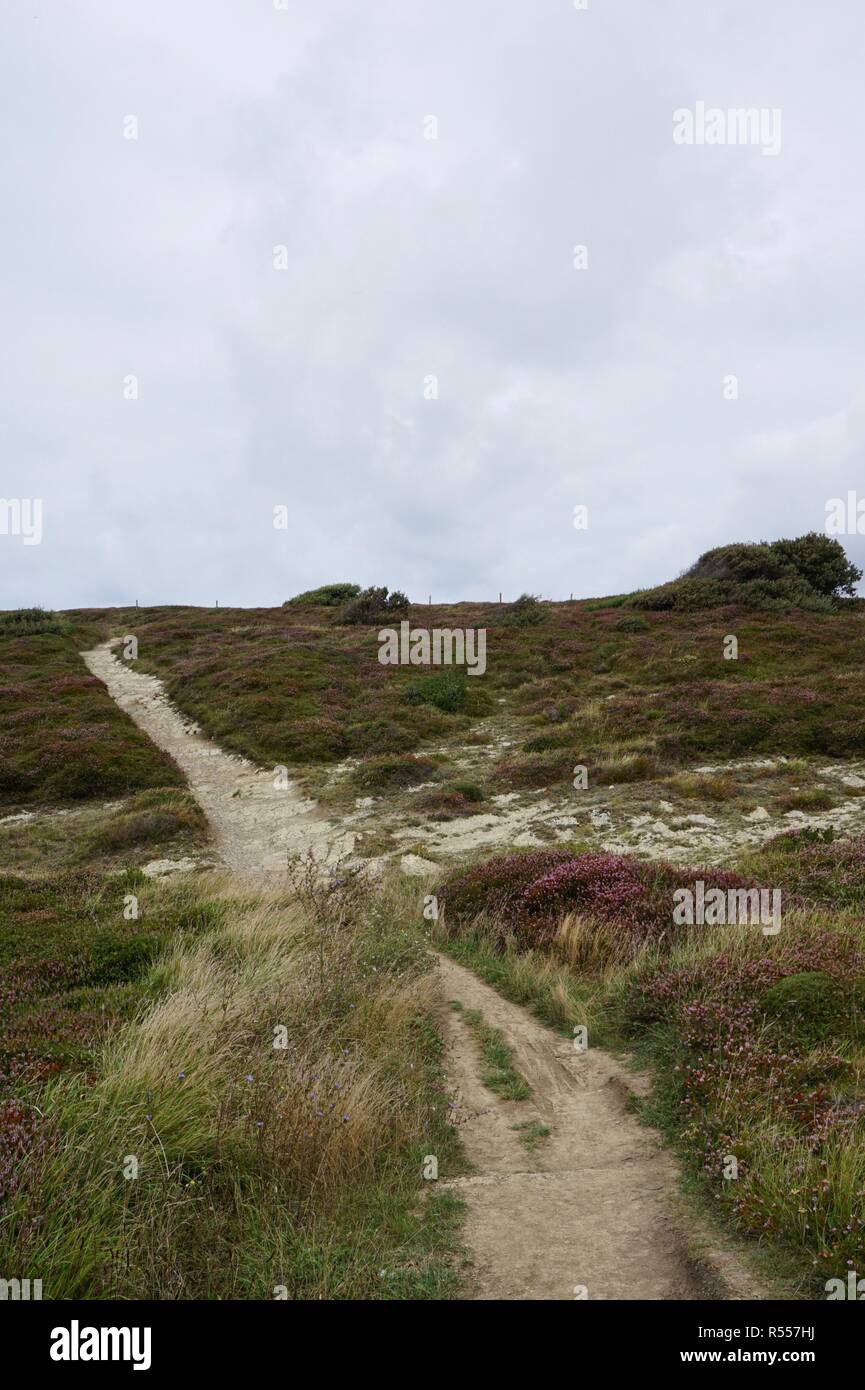 Il percorso in montagna Foto Stock