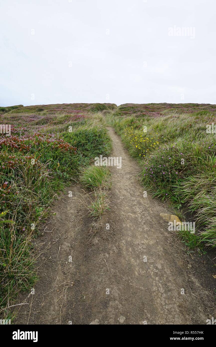 Il percorso in montagna Foto Stock