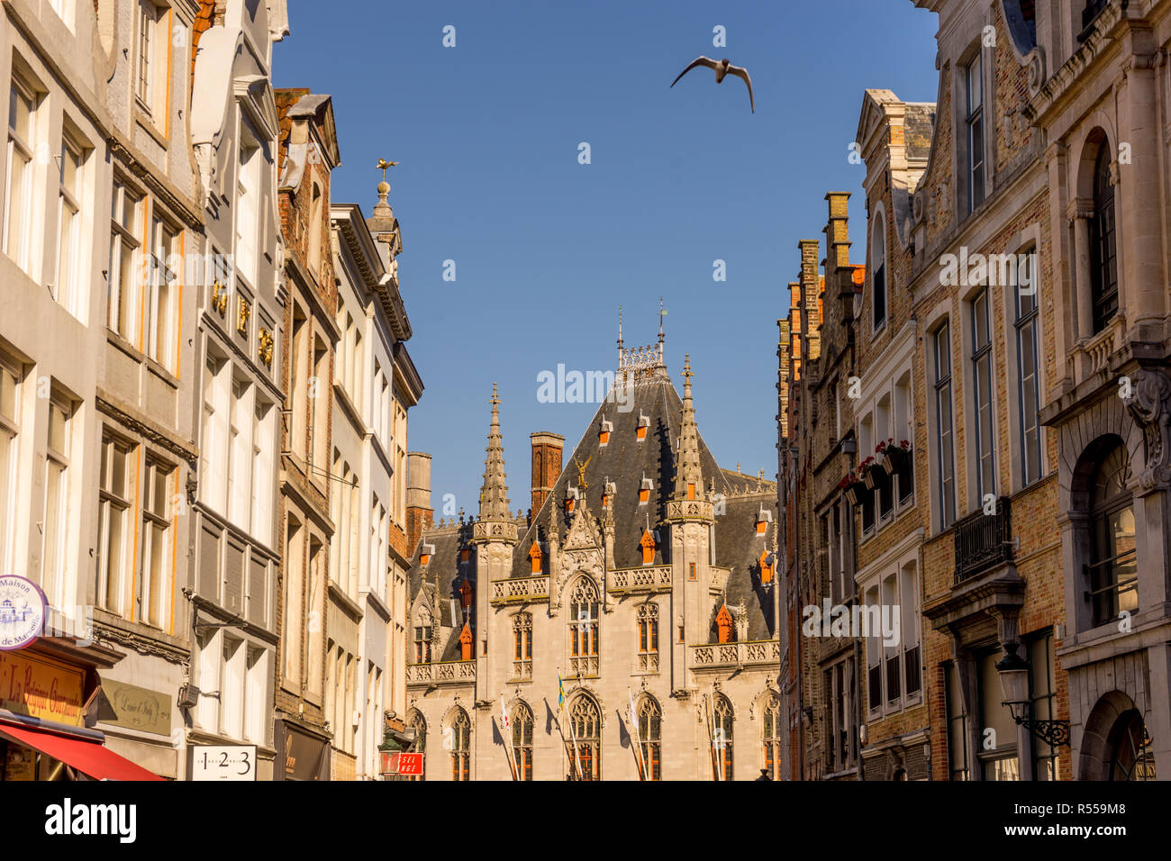 Bruges, Belgio - 17 Febbraio 2018: un uccello vola sopra il palazzo di Bruges Foto Stock
