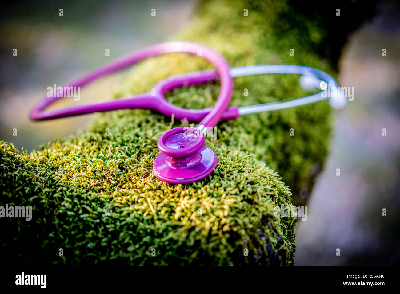 Lo stetoscopio e il paesaggio. Foto Stock