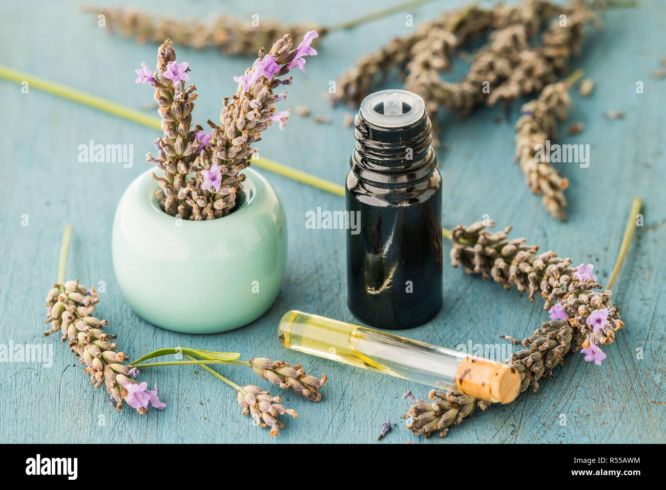 Olio essenziale di lavanda (Lavandula sp.). Foto Stock