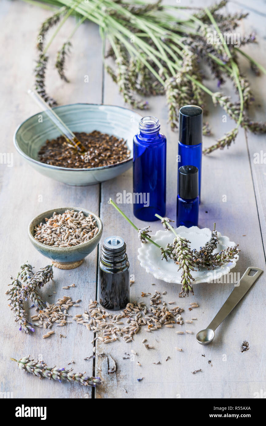 Olio essenziale di lavanda (Lavandula sp.). Foto Stock