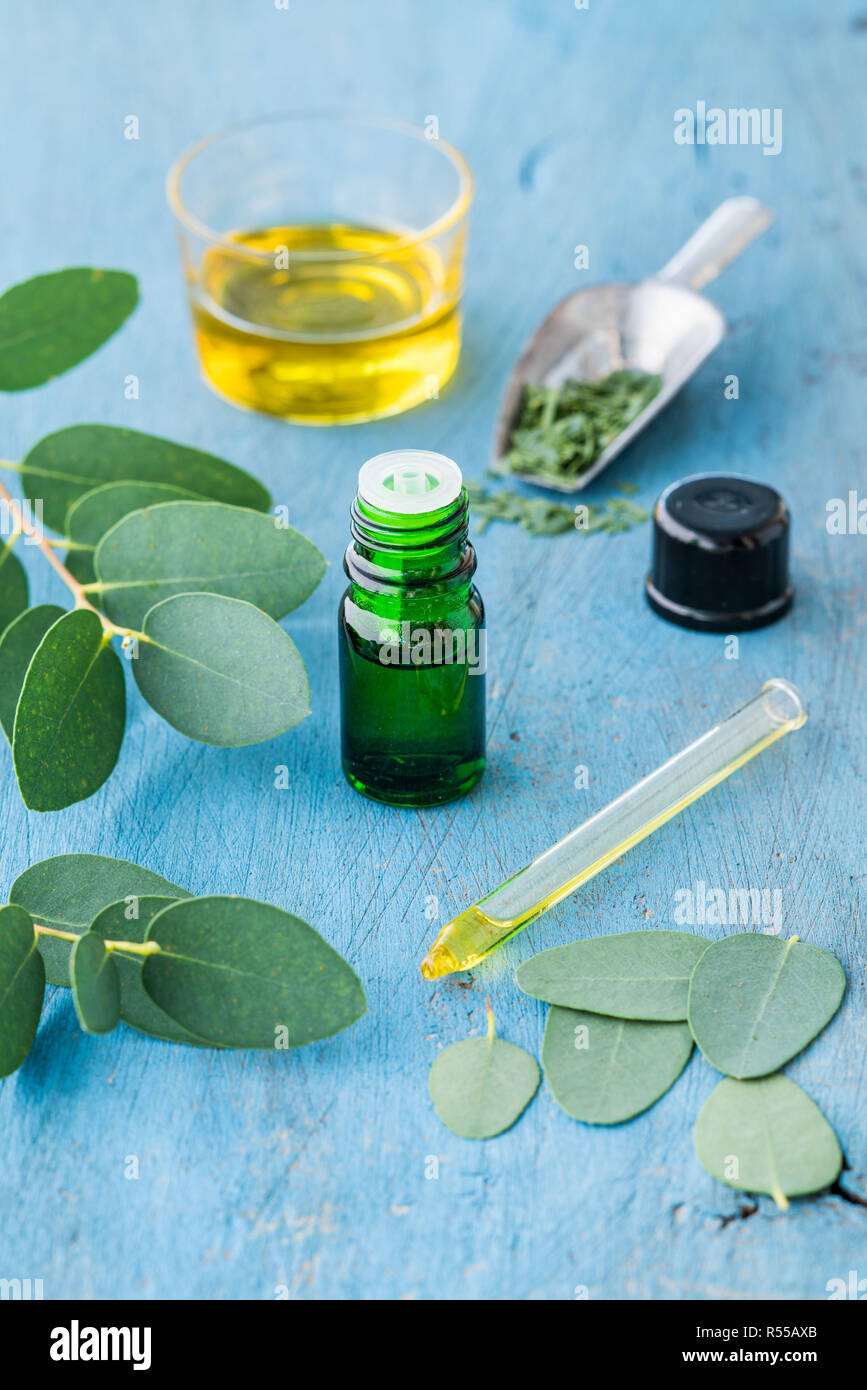 Olio essenziale di eucalipto. Foto Stock