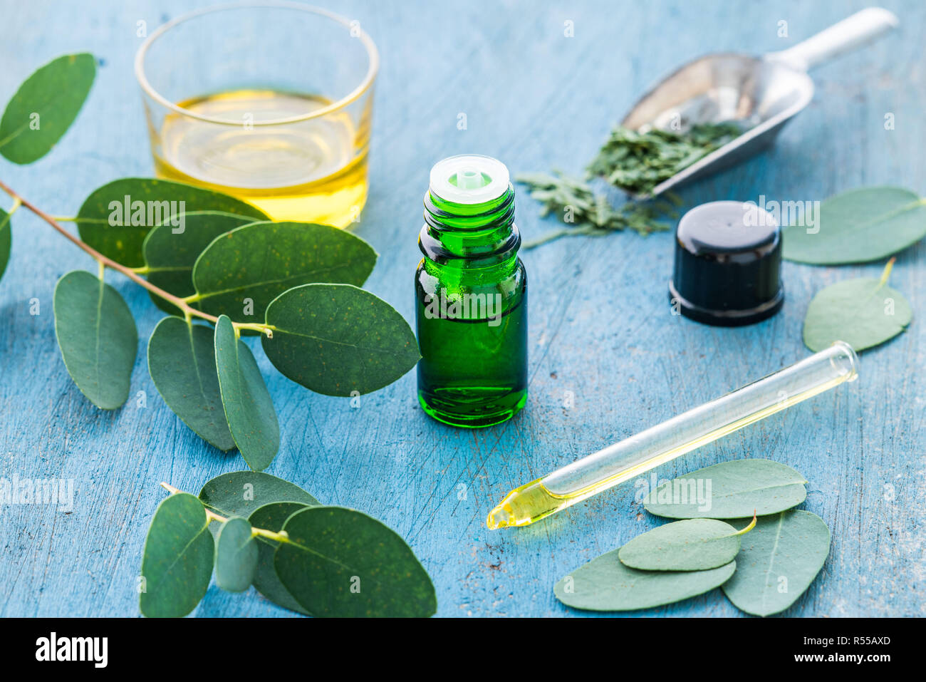 Olio essenziale di eucalipto. Foto Stock