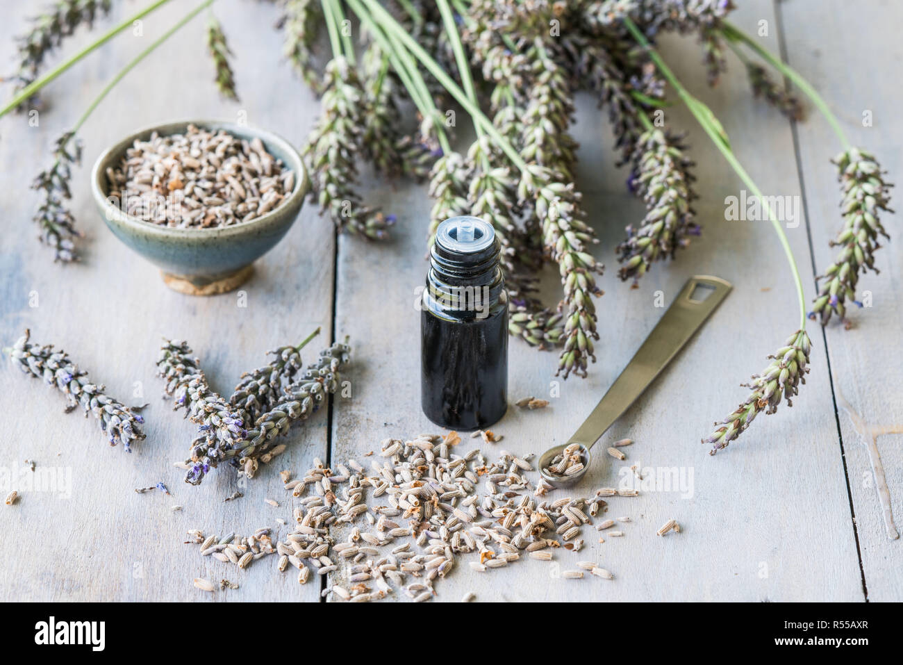Olio essenziale di lavanda (Lavandula sp.). Foto Stock