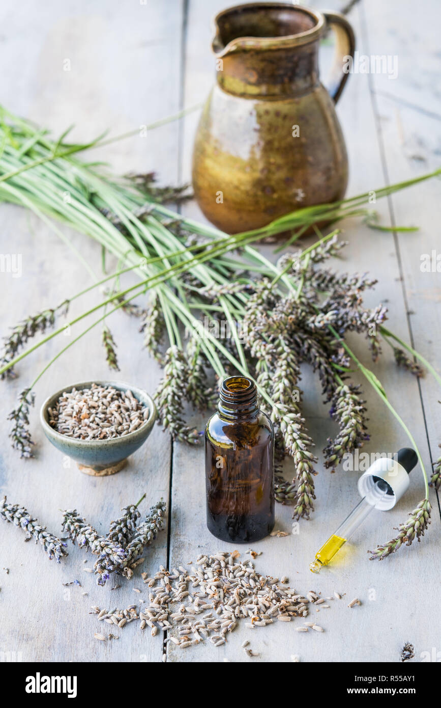 Olio essenziale di lavanda (Lavandula sp.). Foto Stock