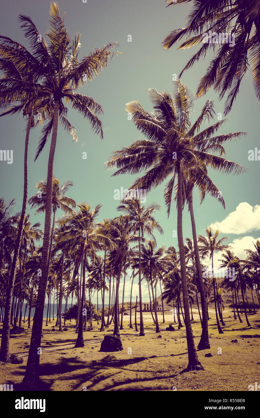 Anakena Palm Beach e Moais statue sito ahu Nao Nao, isola di pasqua Foto Stock