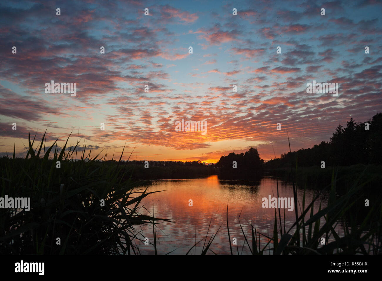 Splendido colore arancio altocumulus nuvole vicino a un piccolo lago nel Waddinxveen, Paesi Bassi al tramonto Foto Stock