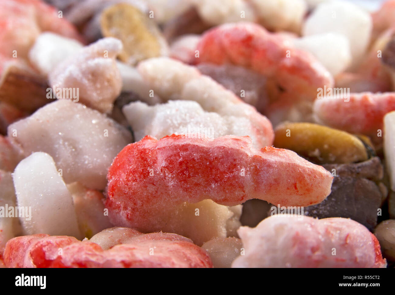 Frutti di mare congelati mix. Chiudi immagine in alto Foto Stock