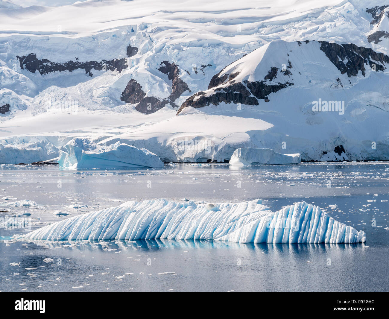 Acqua e vento scolpiti iceberg galleggianti in Andvord Bay vicino a Neko Harbour, Penisola Antartica, Antartide Foto Stock