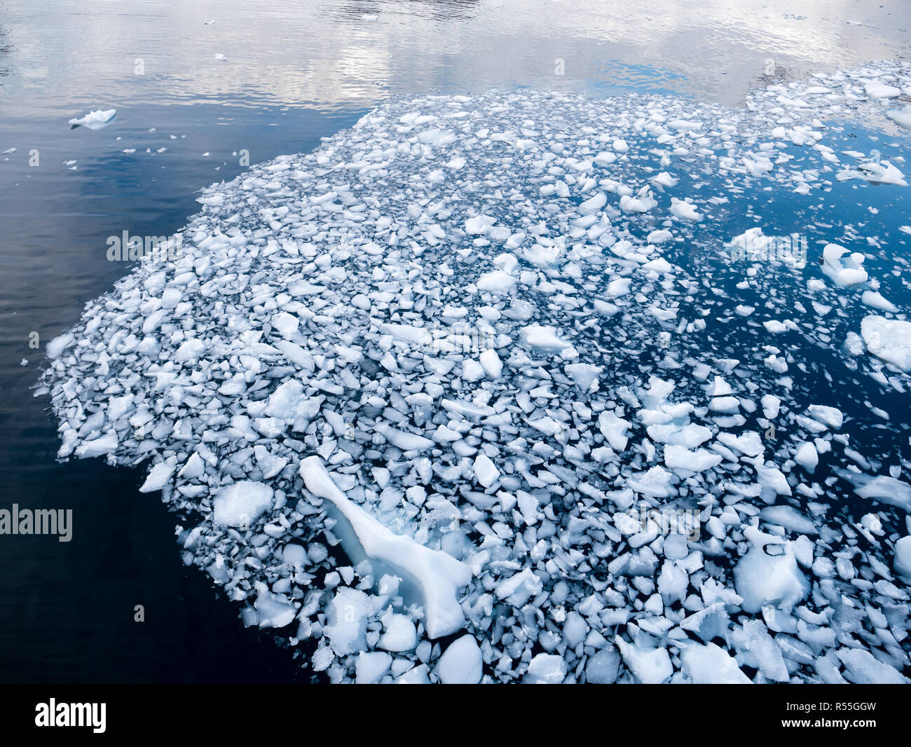 Insolente ghiaccio, pezzi di ghiaccio di fusione e galleggiano nell'acqua della baia Andvord, Antartide Foto Stock
