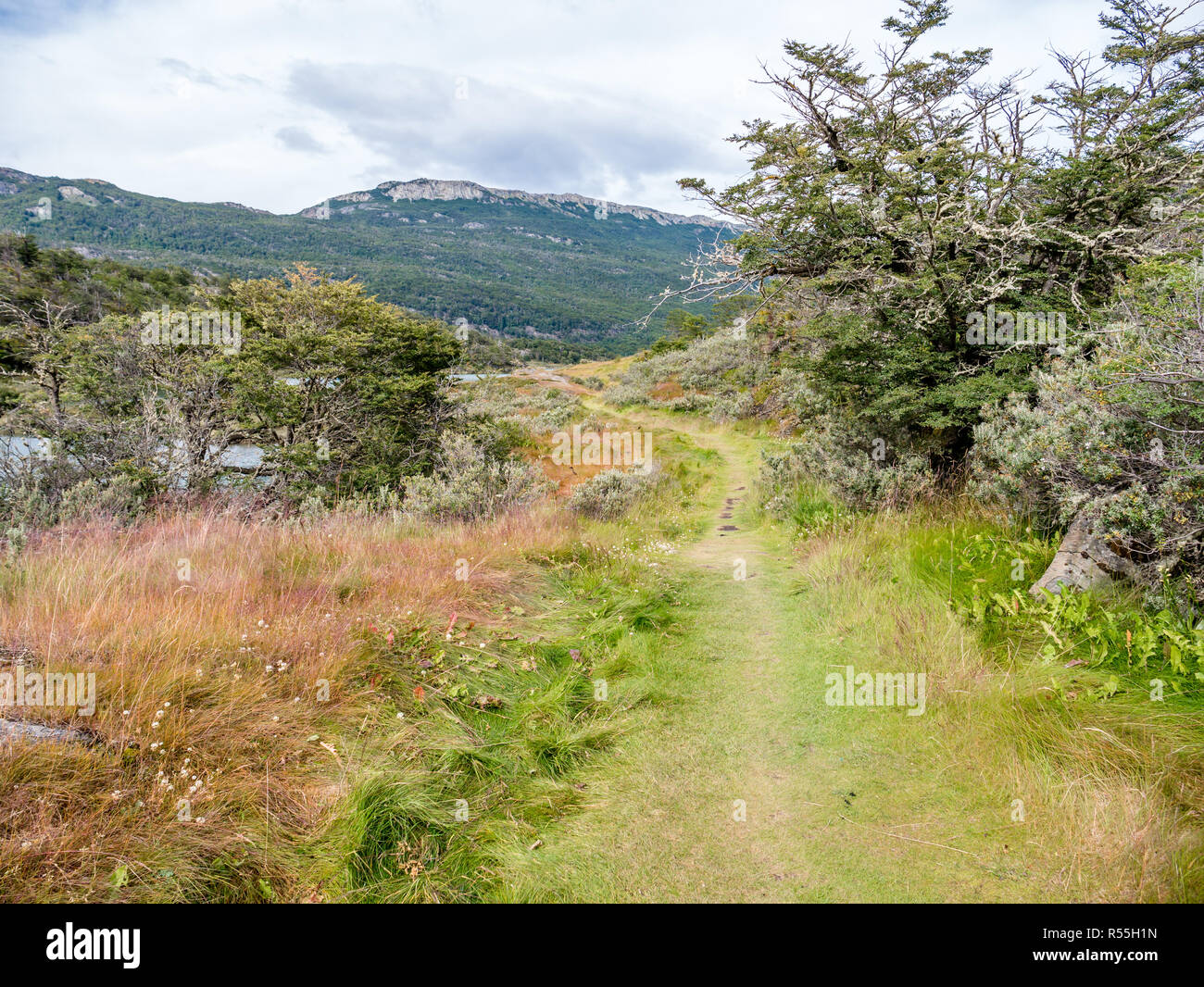 Il sentiero di Isola di escursione, Paseo de la isla lungo il fiume Lapataia in Tierra del Fuego National Park, Patagonia, Argentina Foto Stock