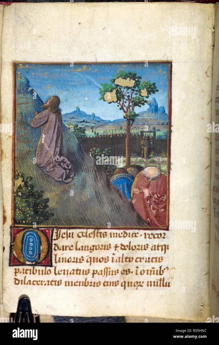 Gli eventi del festival religioso della Settimana Santa. Cristo pregando e apostoli dormire durante l'agonia nel giardino. Cristo in ginocchio. . Libro di preghiera (quindici Oes di santa Brigida). Francia, N. W. (Tour?). Libro di preghiera (quindici Oes di santa Brigida). Ultimo quarto del XV secolo o al primo quarto del XVI secolo. Fonte: Harley 5319 f.113v. Lingue: Latina. Foto Stock