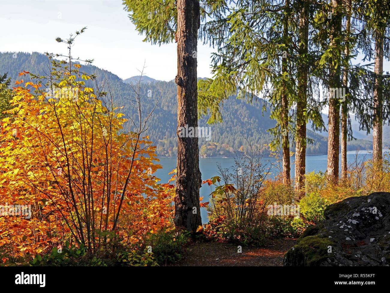 Cushman Lake, il Parco Nazionale di Olympic, Washington Foto Stock