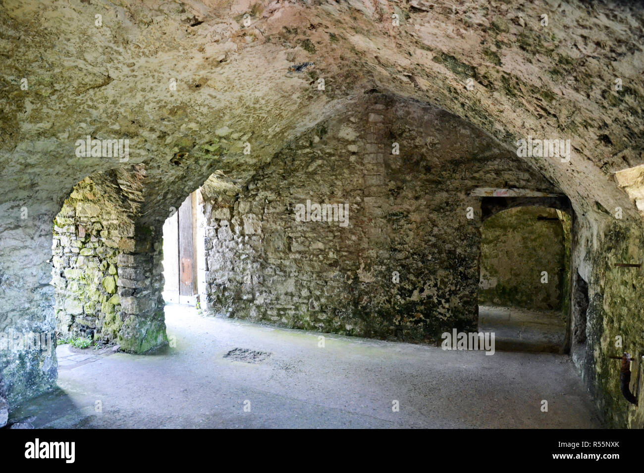 Camera all'interno dell'antica abbazia sull isola di Caldey, vicino Tenby, Wales, Regno Unito Foto Stock