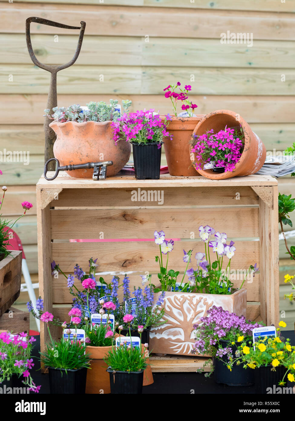 Parte della pianta display sul Garden House stand alla contea del Devon Show 2018 Foto Stock
