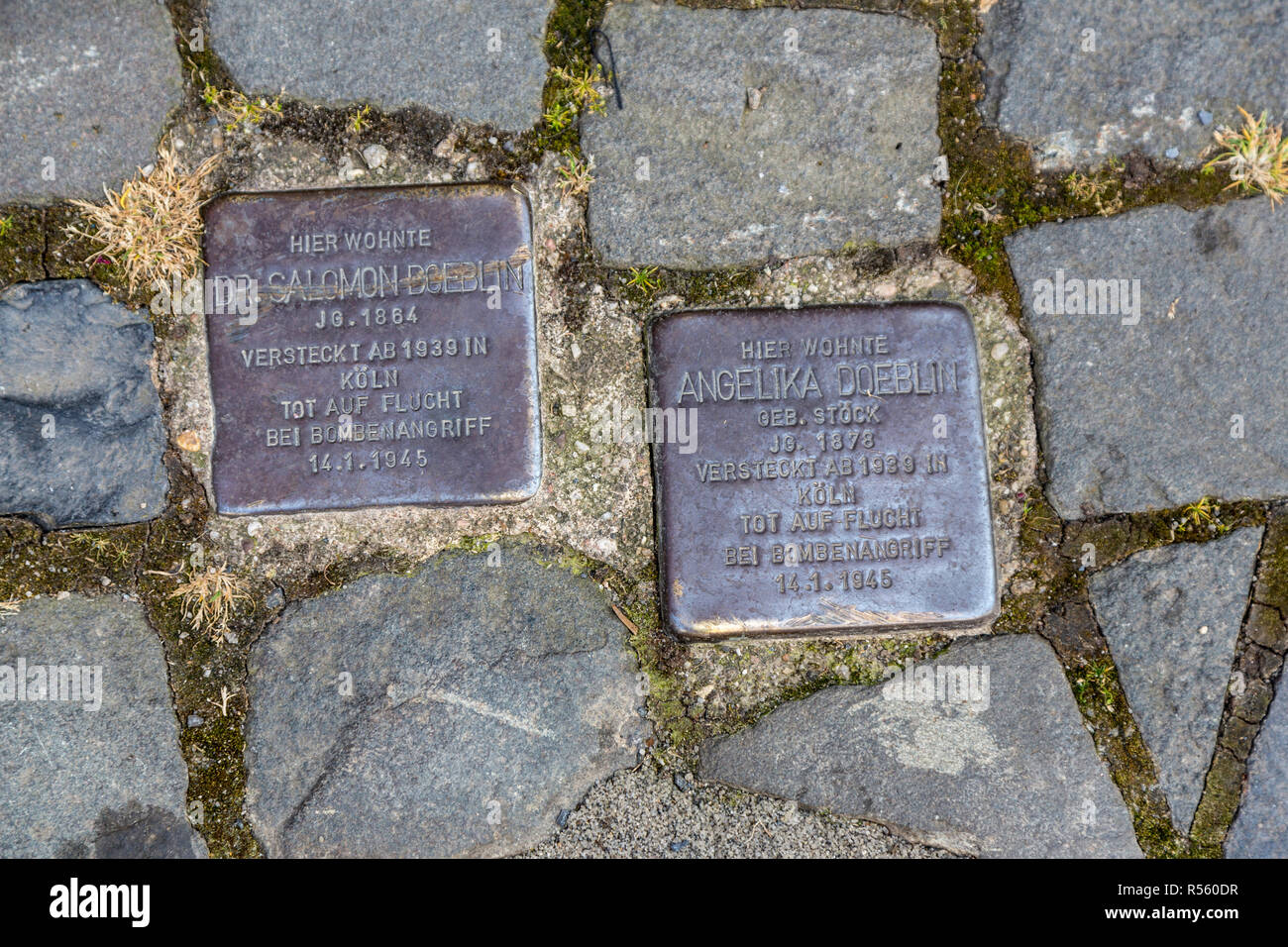 Bernkastel, Germania. Memoriale di metallo marcatori nella parte anteriore della casa di Ebrei vittime della Seconda Guerra Mondiale. Foto Stock