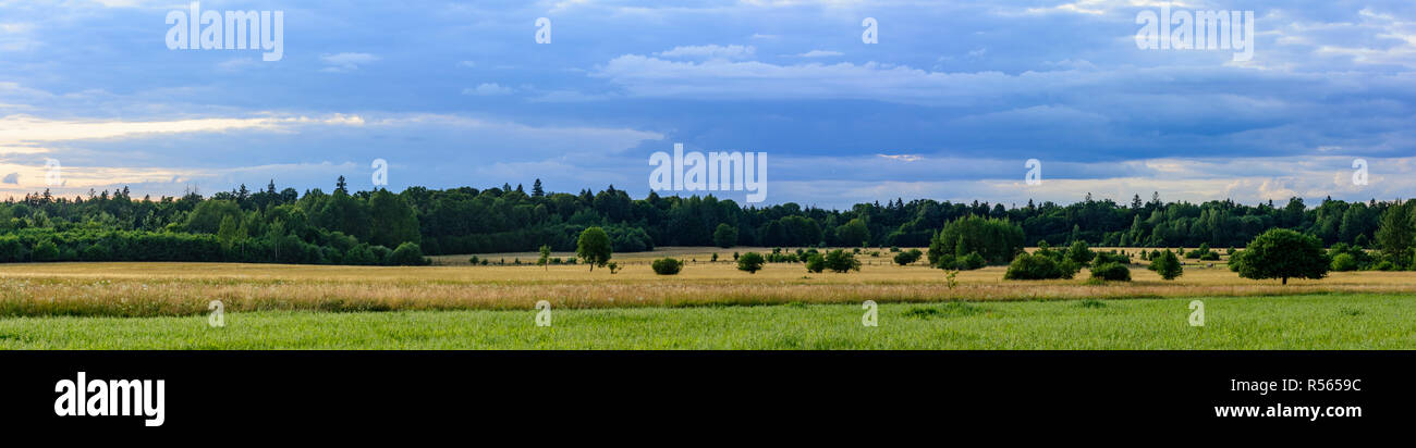 Vista panoramica verso il strettamente area protetta di Bialowieza National Park, Polonia. Foto Stock