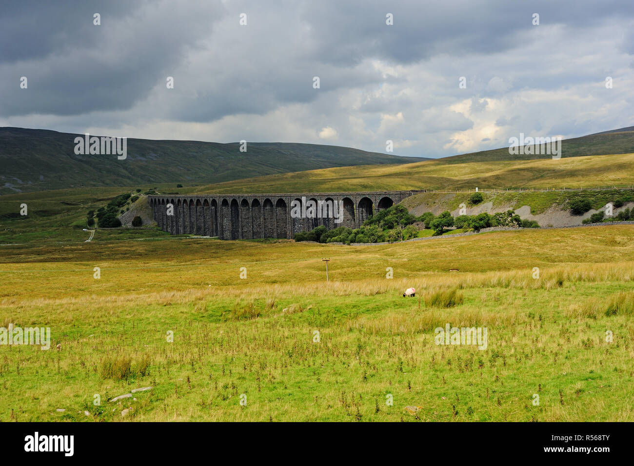 Viadotto Ribblehead, si depositano Carlilse ferroviarie, North Yorkshire, Inghilterra Foto Stock