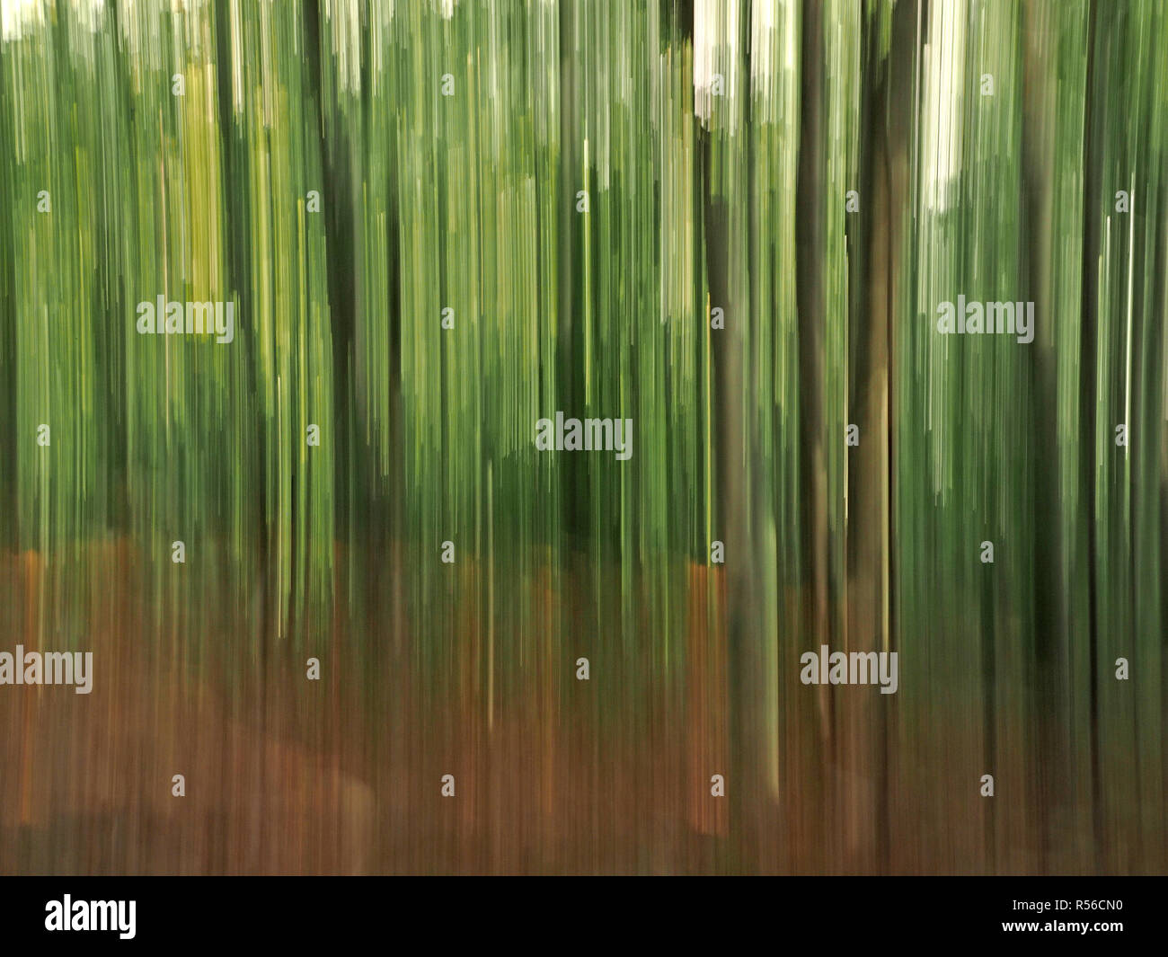 Rendering impressionista di bosco in Toscana, Italia utilizzando la coppa verticale durante il periodo di esposizione Foto Stock