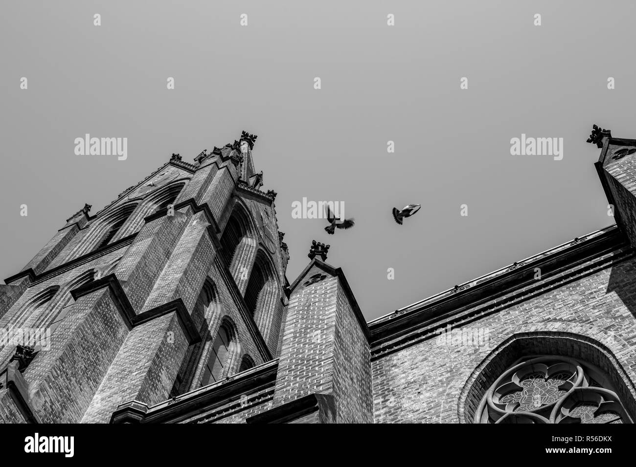 I piccioni che si rincorrono sulla bellissima chiesa cattolica tetto, Praga, Repubblica Ceca. Basso angolo di visione, immagine in bianco e nero, chiara giornata estiva sky Foto Stock