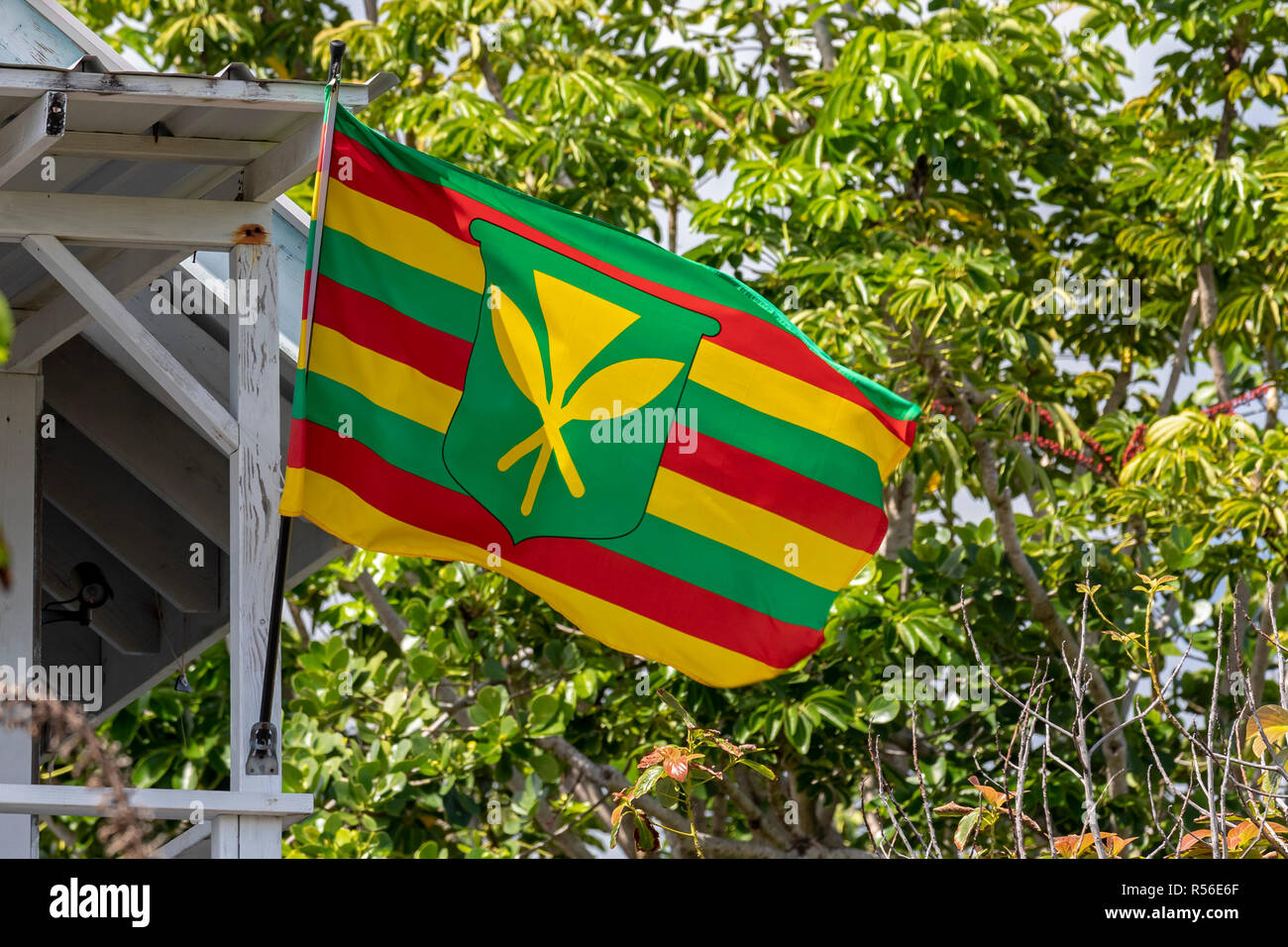 Kehena, Hawaii - Il Kanaka Maoli, o nativi hawaiana, bandiera da una casa nella Puna distretto di Big Island. La bandiera è popolare con quelli Foto Stock