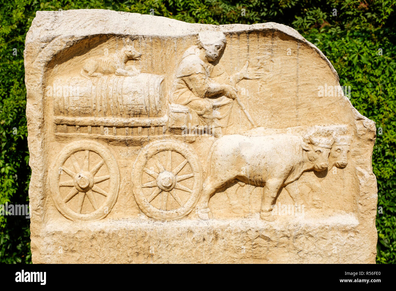 Rilievo romano di un bue carrello, trova al Predigerberg, Augsburg, Svevia, Baviera, Germania Foto Stock