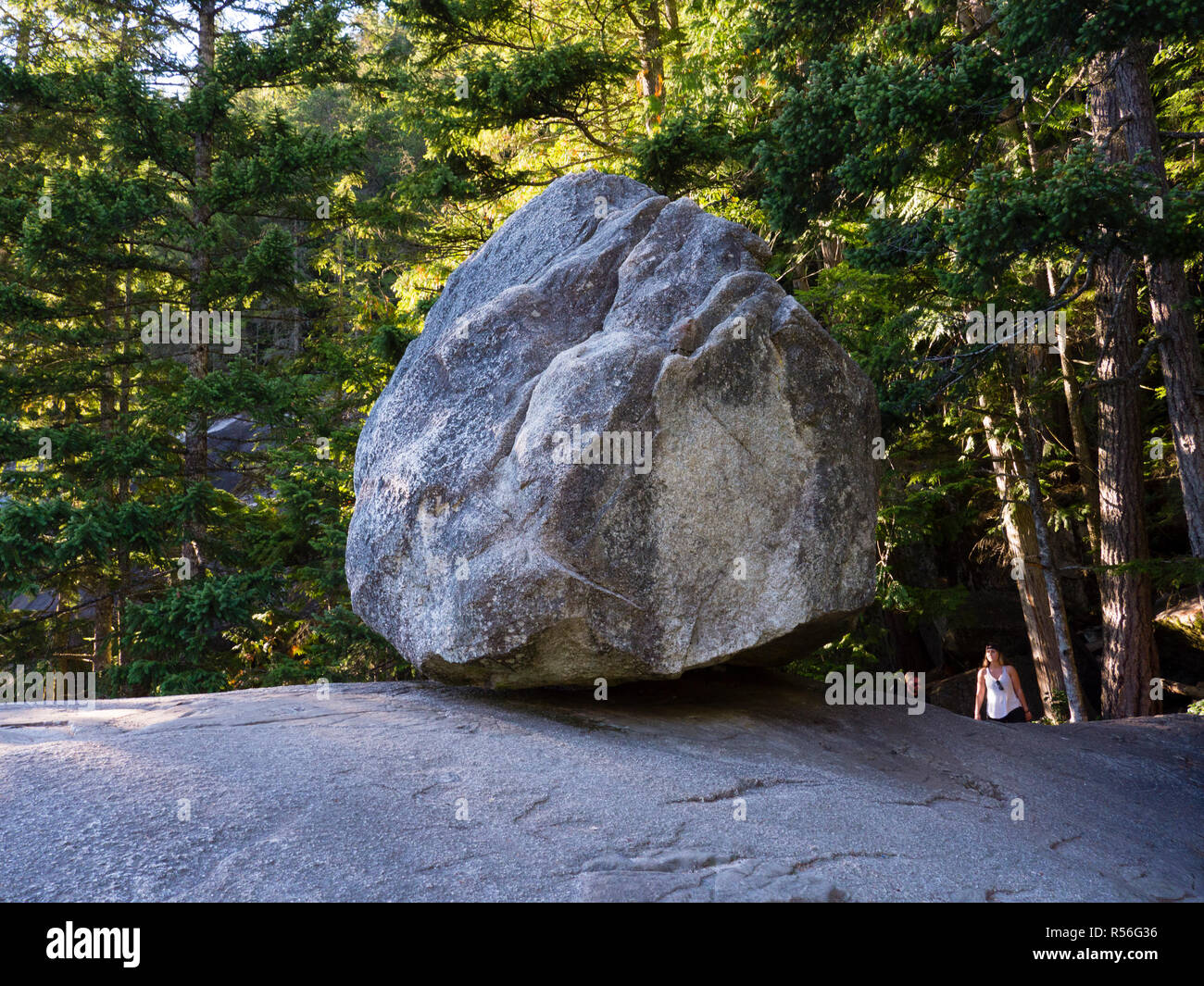 Masso erratico sul sentiero del Capo in Squamish, BC, Canada Foto Stock