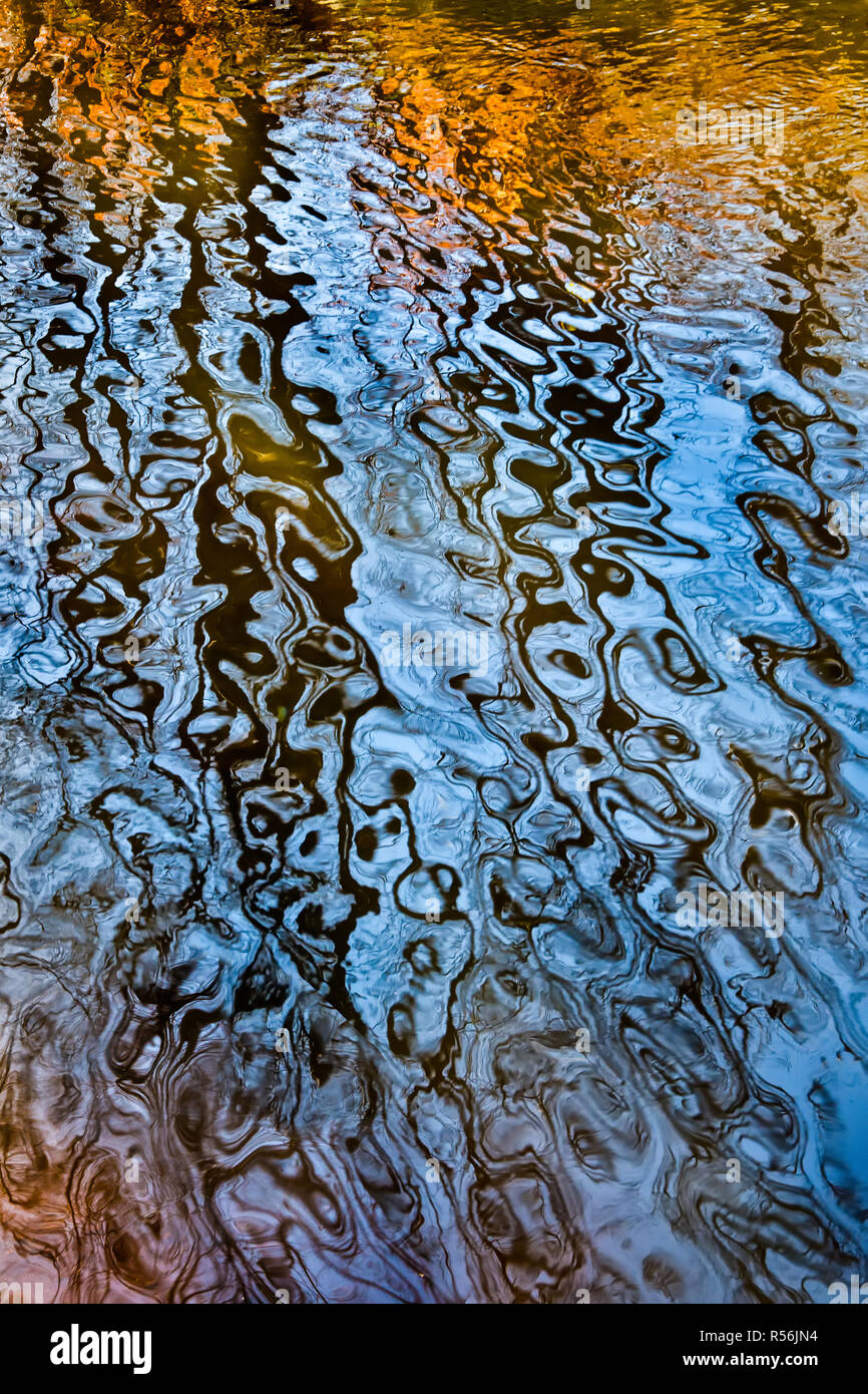 La riflessione di alberi di fluttuazioni di flusso di piccole dimensioni a metà novembre in Virginia centrale. Foto Stock