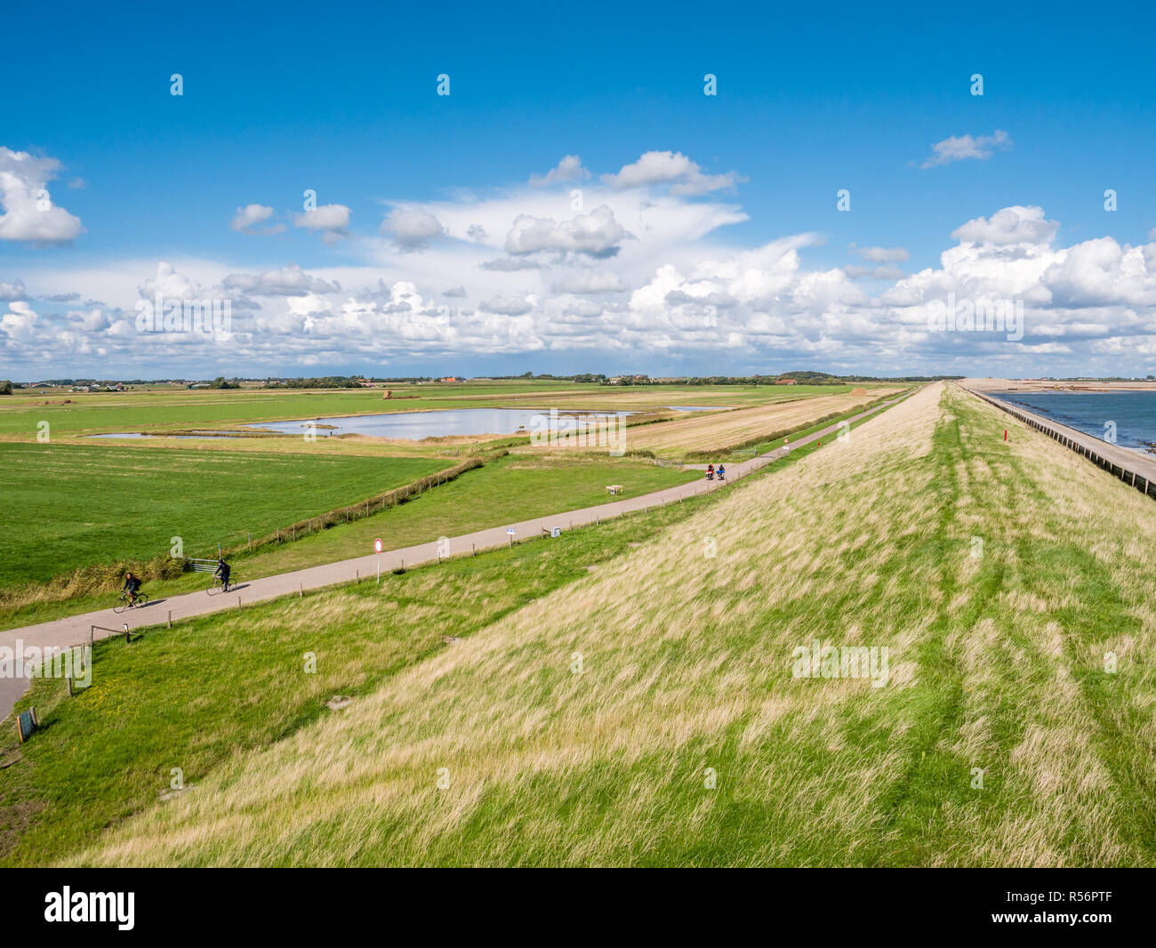 Persone in Bicicletta Equitazione sulla piccola strada tra polder con zona umida e il mare diga sul West Frisone isola di Texel, Paesi Bassi Foto Stock