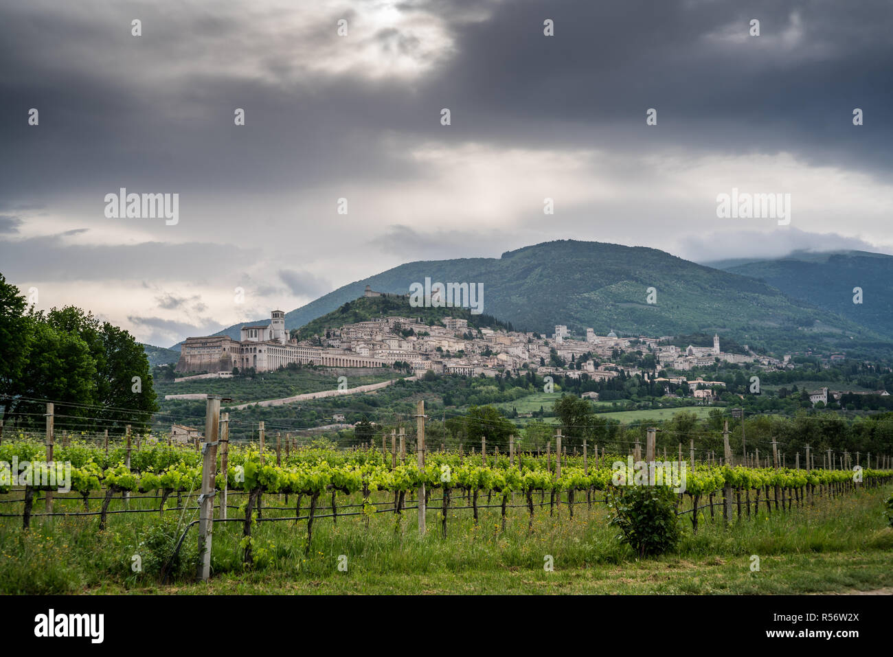 Ad Assisi, Umbria, Italia, Europa Foto Stock