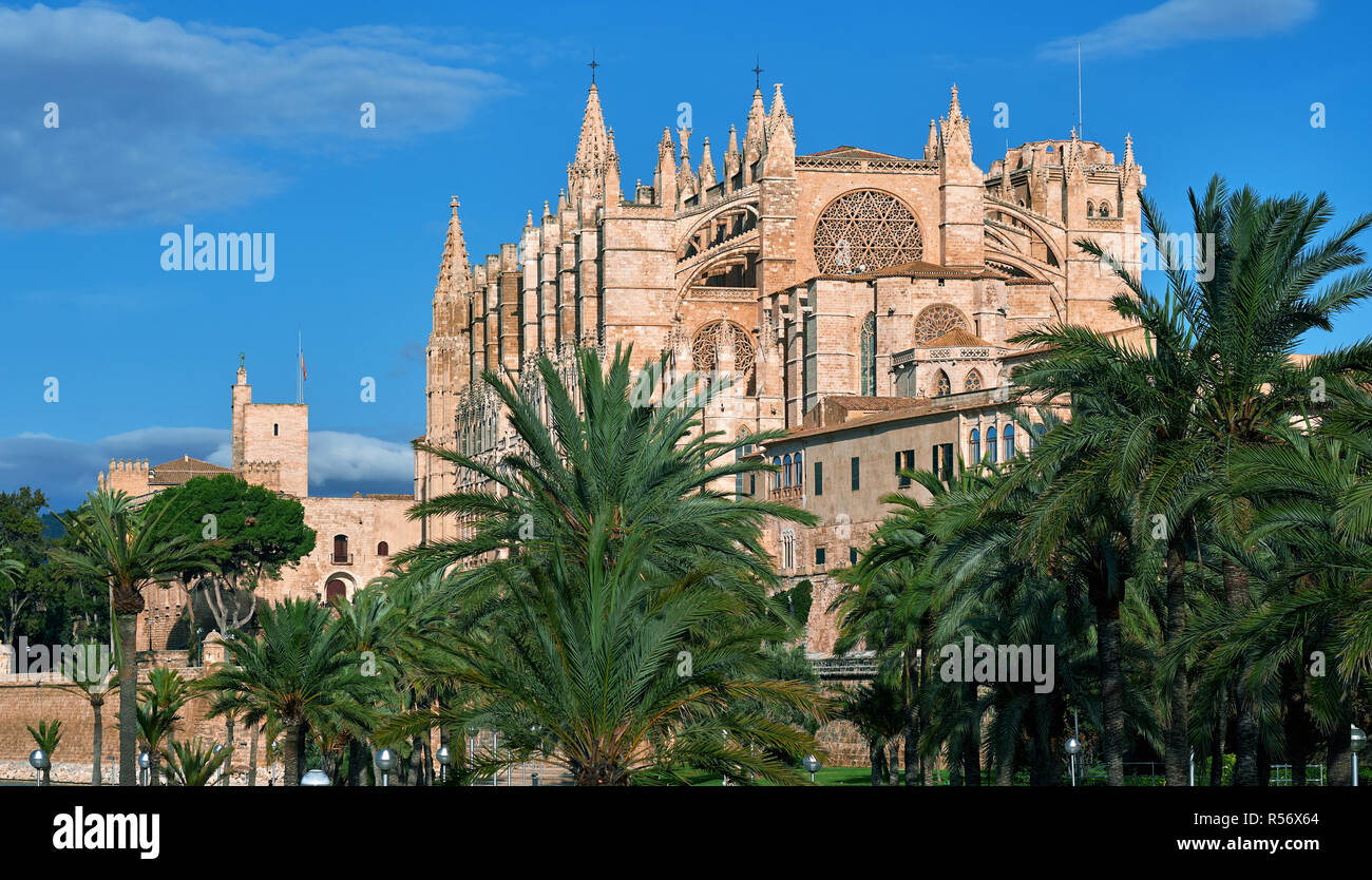 Lussureggianti palme e la Cattedrale di Palma de Mallorca contro il cielo blu, edificio è costruito su una scogliera che sorge fuori del mare. Maiorca, isole Baleari, S Foto Stock