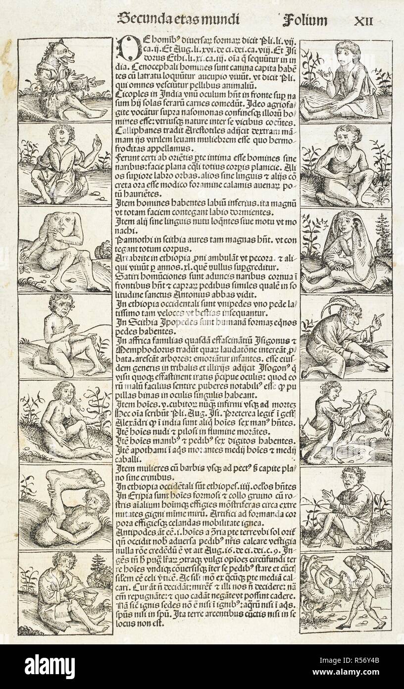 Woodblock illustrazioni gente strana e creature. Liber chronicarum. Registrum hujus operis libri cronicarum ... Nurembergae: Anthonius Koberger, duodecima mensis Iulij Anno salitis ... 1493. Fonte: I.C.7452, pagina xii. Lingue: Latina. Autore: Schedel, Hartmannus. Foto Stock