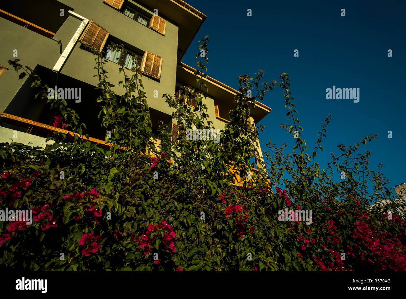Appartamenti Bressol in Port de Pollenca, Mallorca Foto Stock