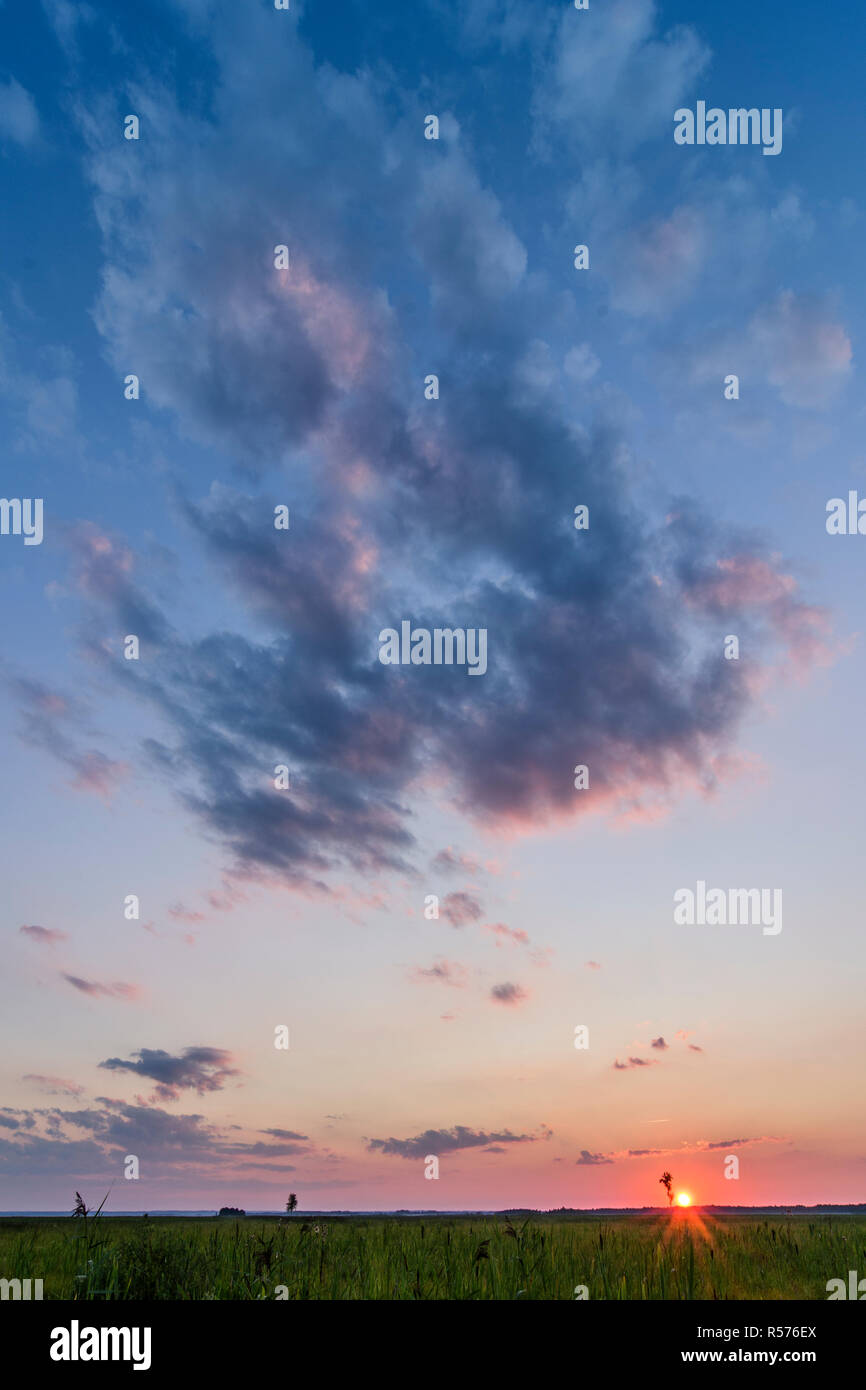 Tramonto in Biebrza National Park, Polonia. Luglio, 2017. Foto Stock