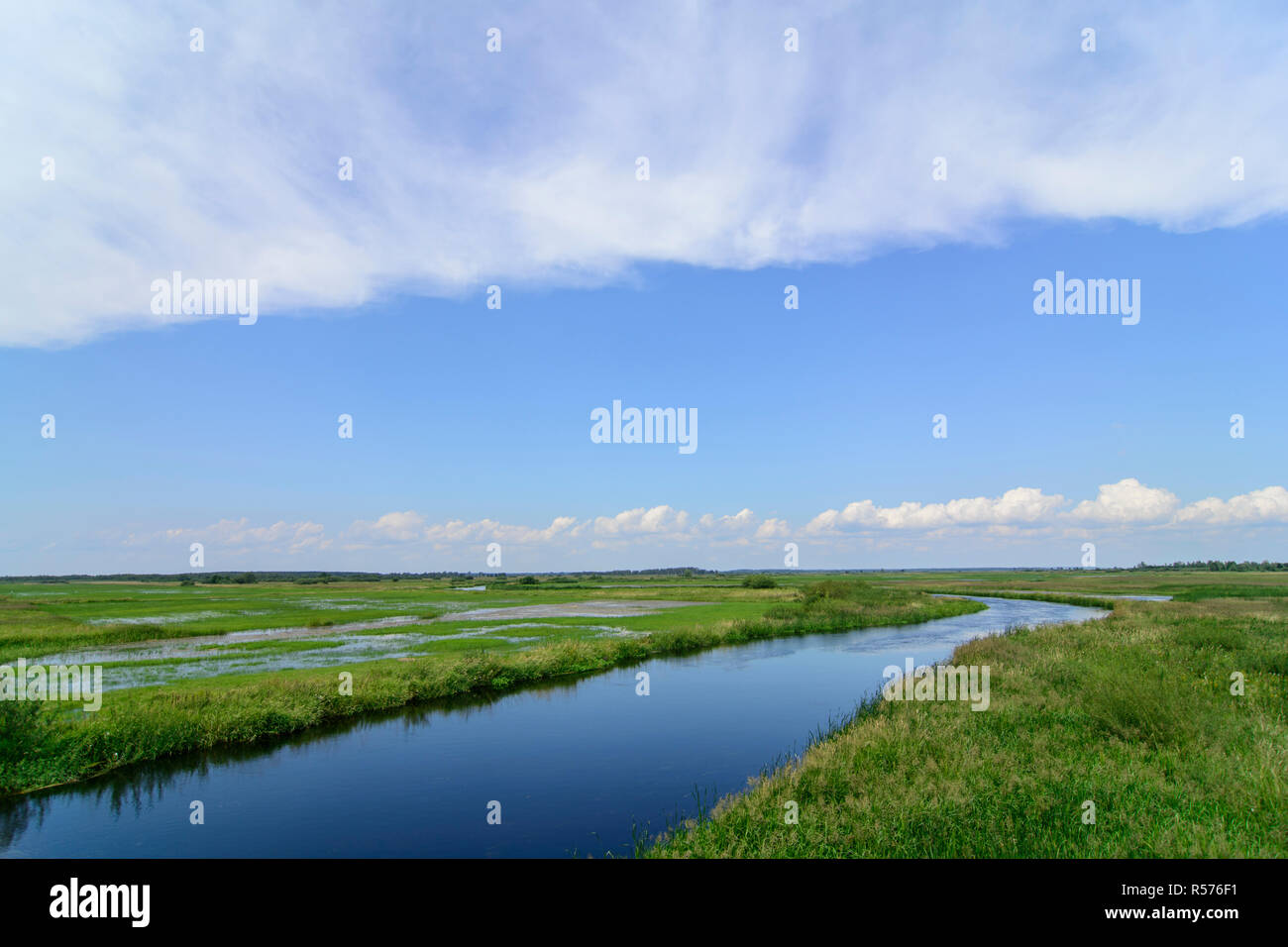 Vista sul fiume Biebrza vicino a Goniadz, Polonia. Foto Stock