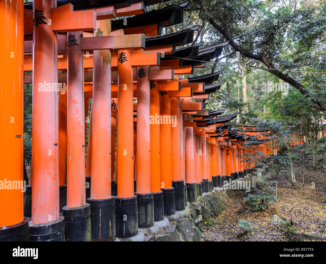 Fushimi Inari Taisha a Kyoto, Giappone Foto Stock