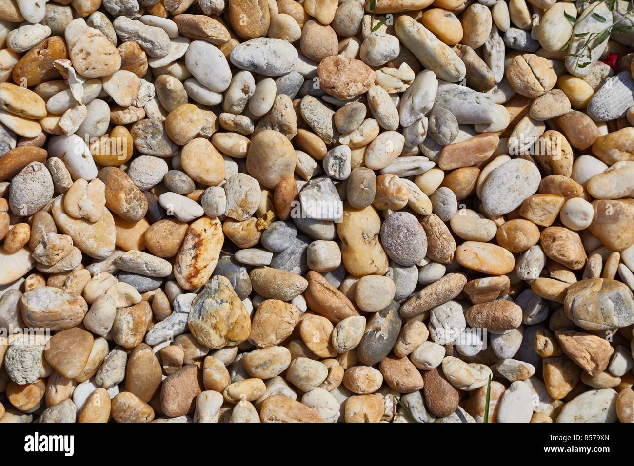 Pietre su una spiaggia Foto Stock