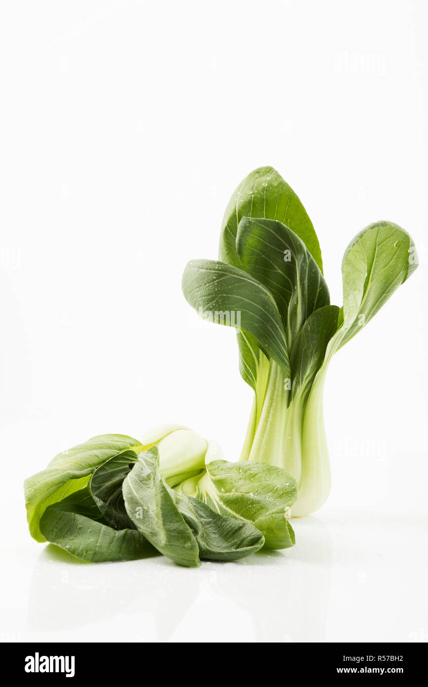 Shanghai pak choi - shanghai cavolo senape Foto Stock