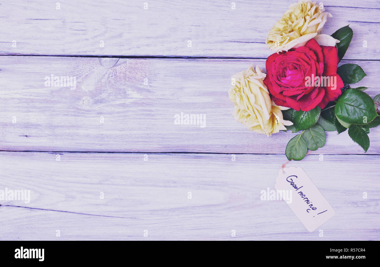 Tre Rose fiore su un bianco sullo sfondo di legno Foto Stock