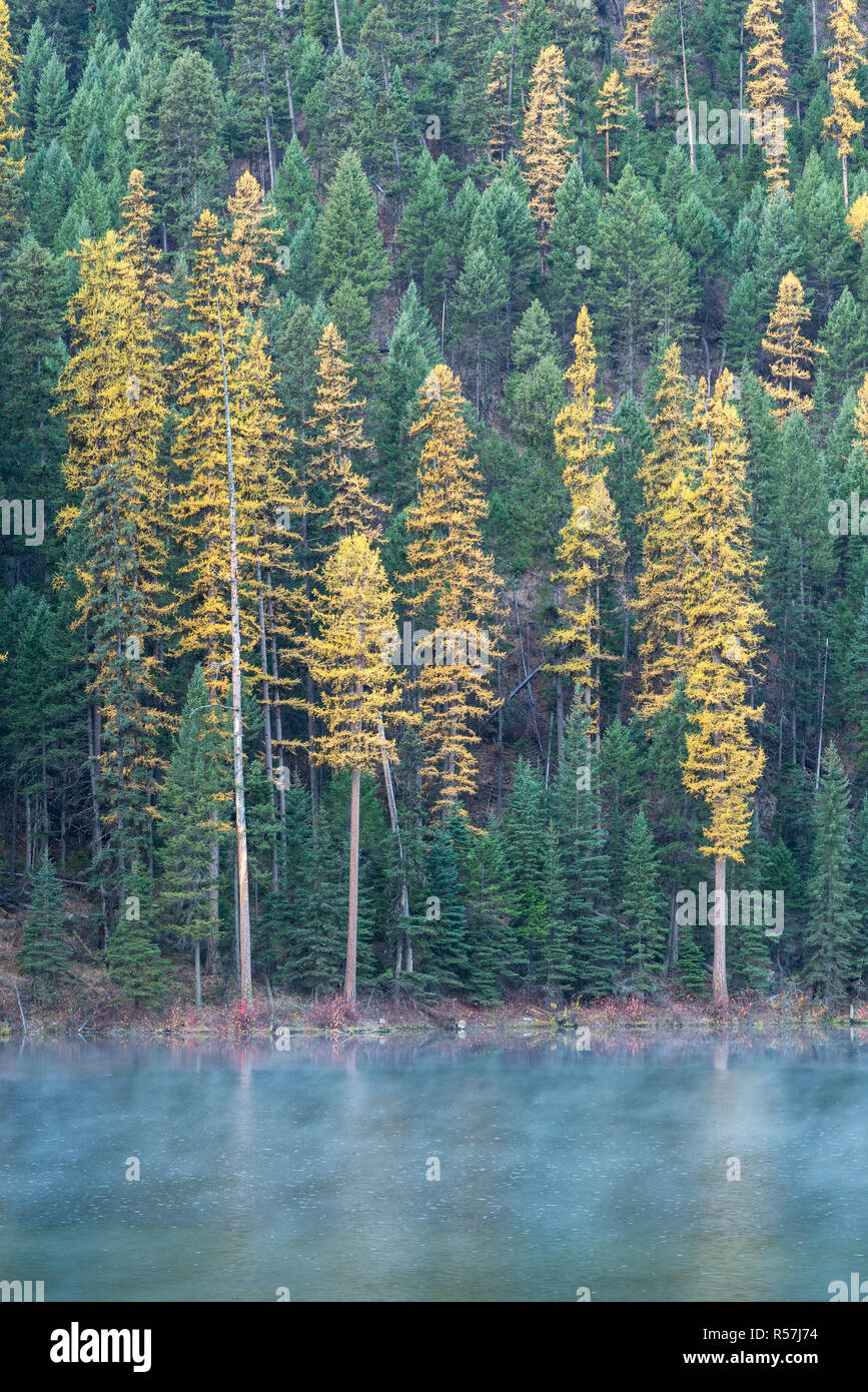 Nebbia di mattina sul Lago di Beth, Okanogan National Forest, Washington. Foto Stock