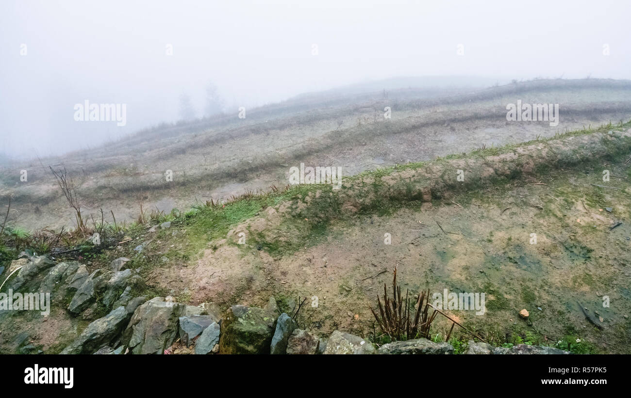 Nebbia su bagnato fieilds terrazzate sul versante collinare Foto Stock