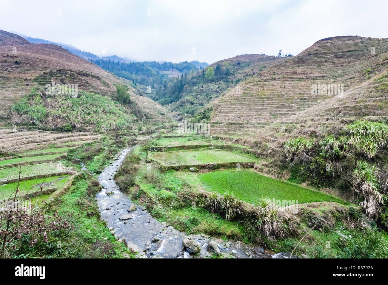 Creek tra campi terrazzati del villaggio Dazhai Foto Stock