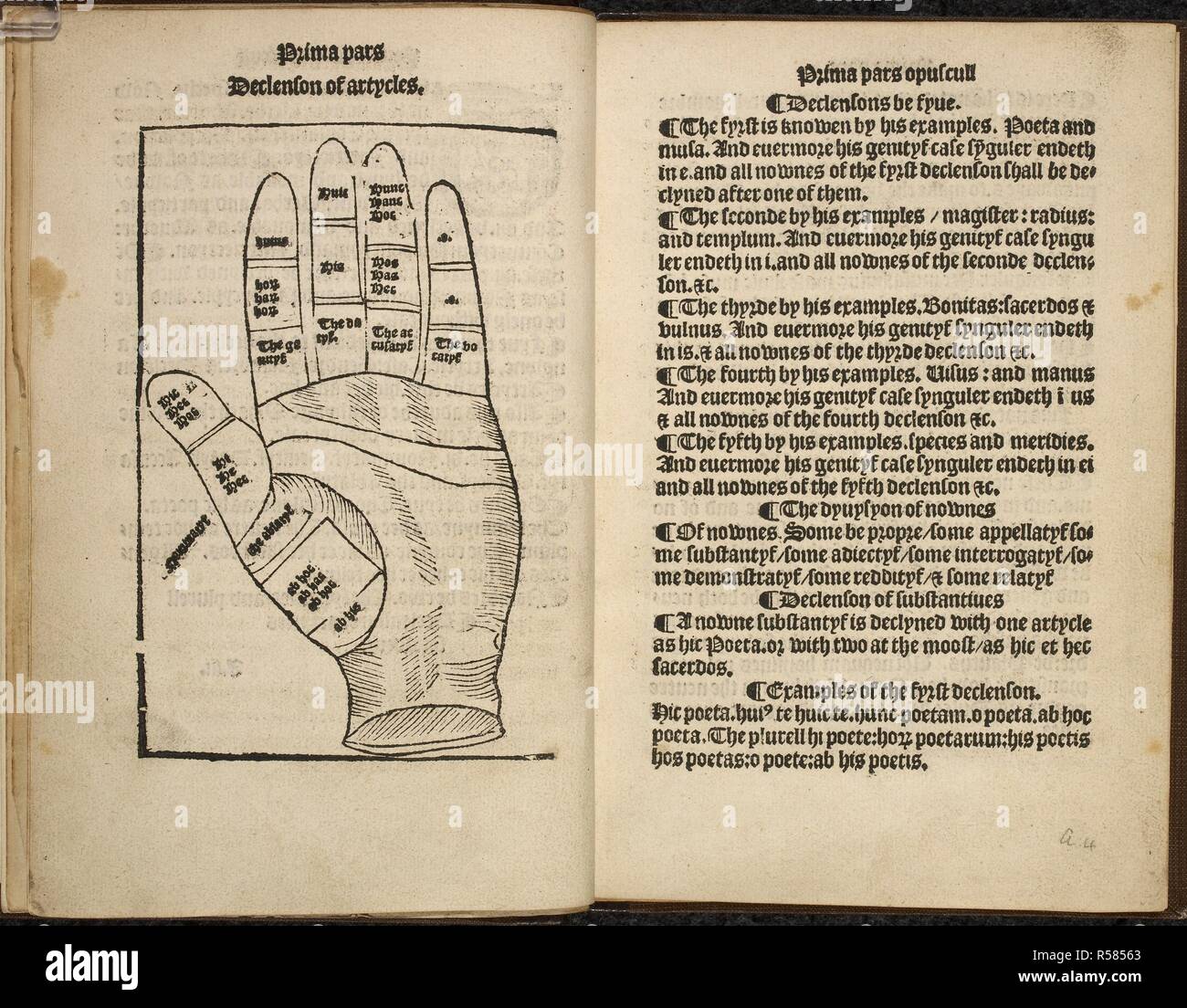 Uno schema di una mano. Lac pueroï€oe. M. holti Mylke per chyldren. Una grammatica latina, con due epigrammi da Sir Thomas More. Londra : Wynkyn de Worde, [1508?]. Fonte: C.33.b.47, pagine aiii - a4. Foto Stock