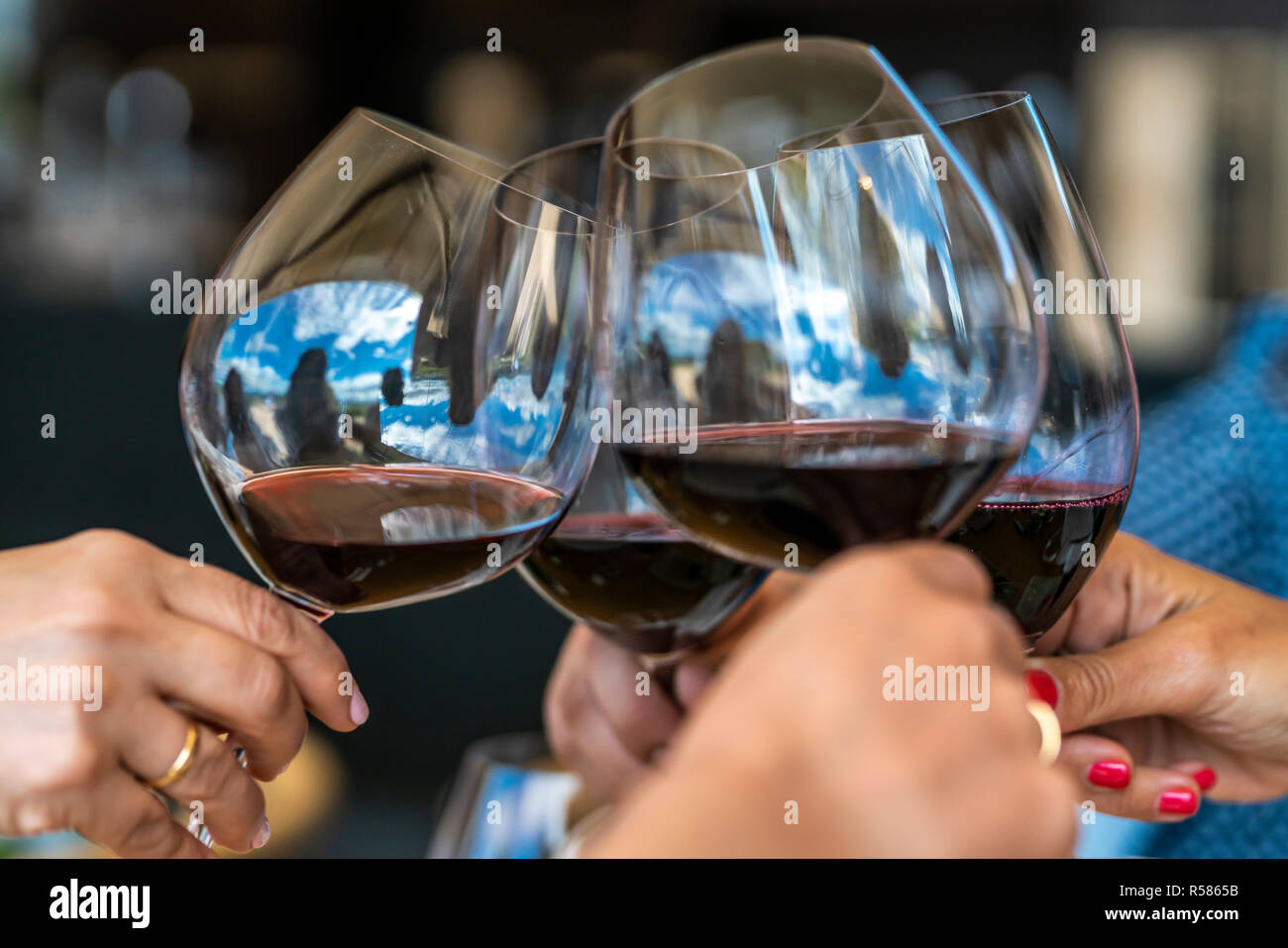 Celebrando i giorni di Natale la tostatura bicchieri di vino durante un giorno di celebrazione presso le nostre vacanze durante il tempo del pranzo in un vigneto a Casablanca, Cile Foto Stock