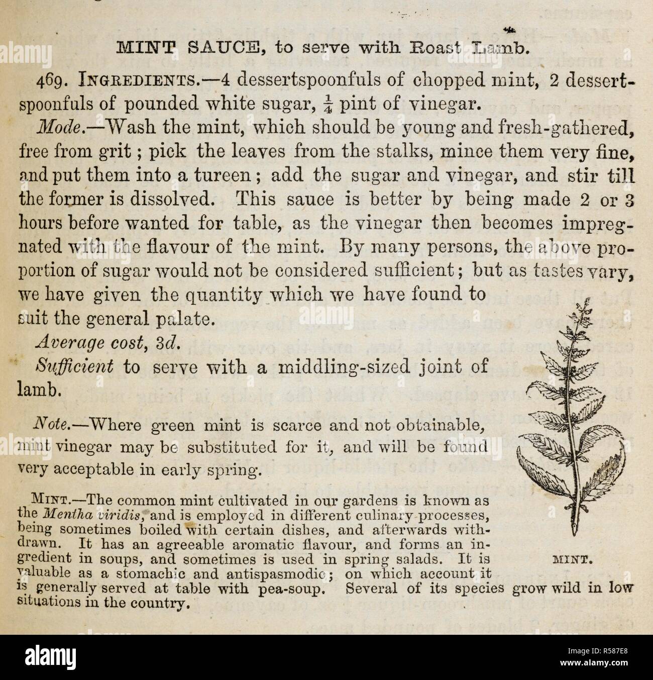 Ricetta per la salsa alla menta. Il libro di gestione di tipo familiare, ecc. [Con piastre e illustrazioni.]. Londra : S. O. Beeton, 1861. Fonte: C.194.a.507 p. 225. Autore: BEETON, ISABELLA MARIA. ANON. Foto Stock