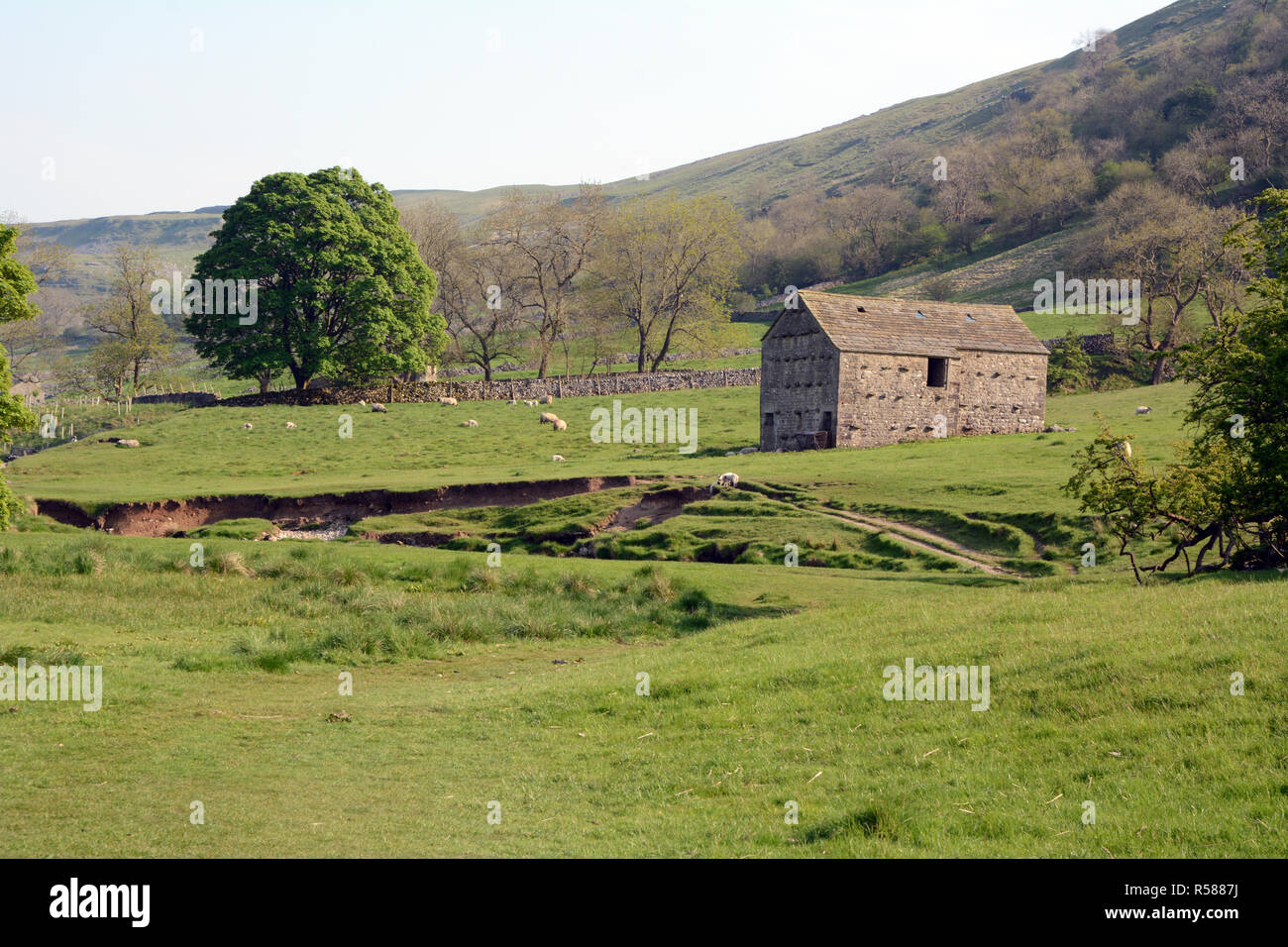 Un vecchio fienile nella Wharfe panoramico sulla valle del fiume sul modo Dales sentiero escursionistico, vicino Starbotton, nello Yorkshire, nell'Inghilterra del Nord, Gran Bretagna. Foto Stock