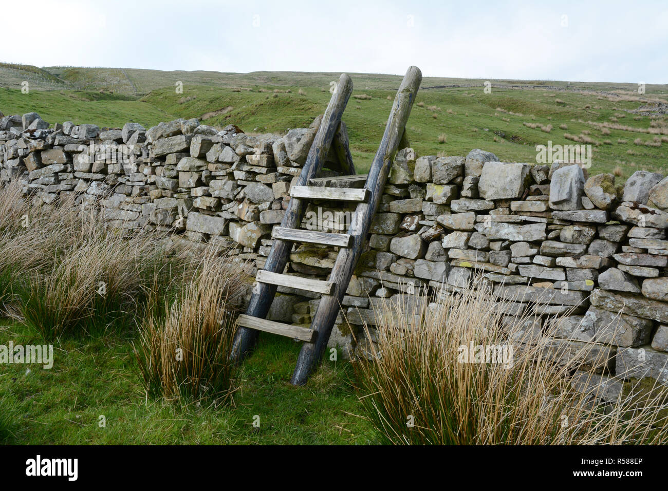 Una piccola scala di legno appoggiata a secco su un muro di pietra lungo le valli modo sentiero escursionistico, nello Yorkshire, Inghilterra, Regno Unito. Foto Stock